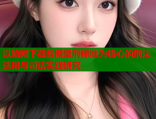 以暗网下载数据量刑标准为核心的刑法适用与司法实践研究 以暗网下载数据量刑标准为核心的刑法适用与司法实践研究