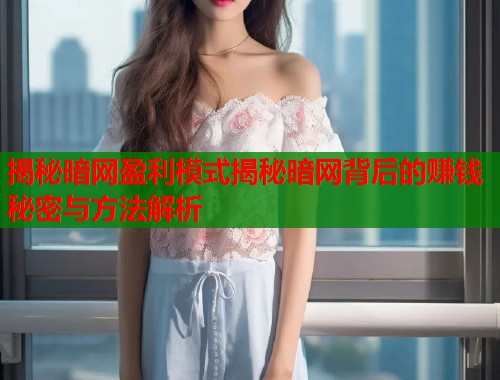 揭秘暗网盈利模式揭秘暗网背后的赚钱秘密与方法解析
