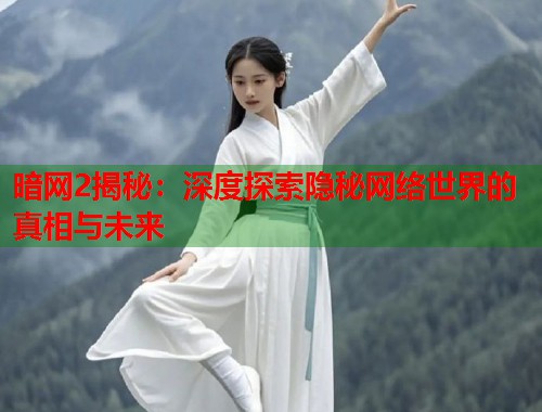 暗网2揭秘：深度探索隐秘网络世界的真相与未来
