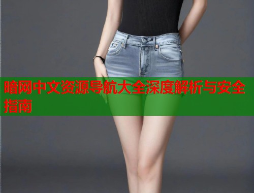 暗网中文资源导航大全深度解析与安全指南