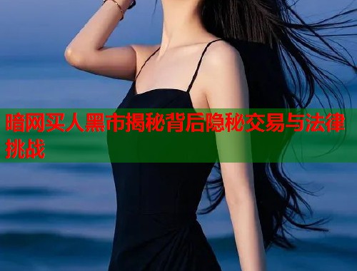 暗网买人黑市揭秘背后隐秘交易与法律挑战