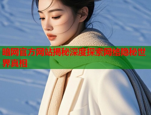 暗网官方网站揭秘深度探索网络隐秘世界真相