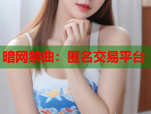 暗网禁曲：匿名交易平台
