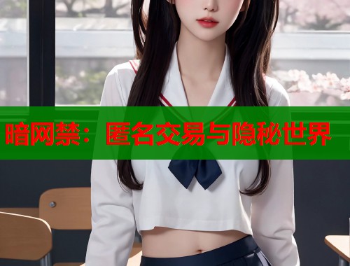 暗网禁：匿名交易与隐秘世界
