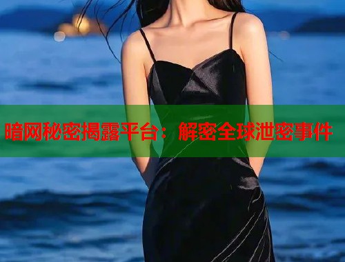 暗网秘密揭露平台：解密全球泄密事件