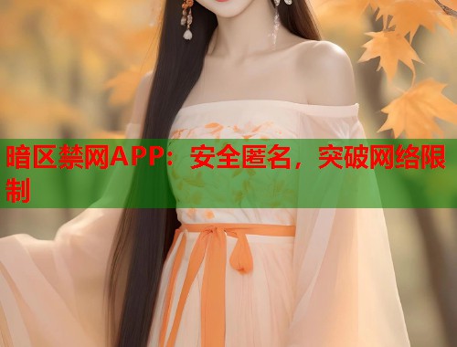 暗区禁网APP：安全匿名，突破网络限制