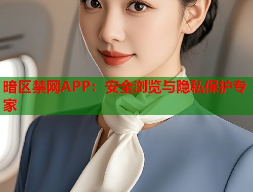 暗区禁网APP：安全浏览与隐私保护专家