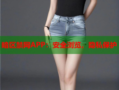 暗区禁网APP：安全浏览，隐私保护