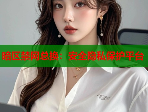 暗区禁网总换：安全隐私保护平台