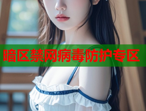 暗区禁网病毒防护专区