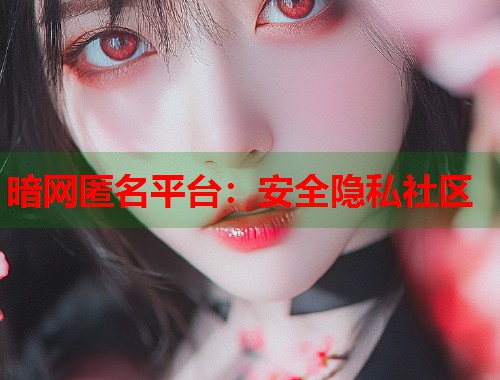 暗网匿名平台：安全隐私社区