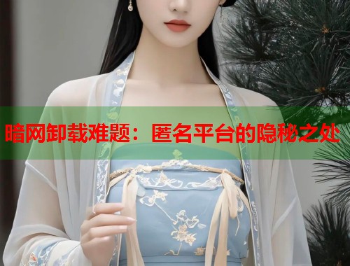 暗网卸载难题：匿名平台的隐秘之处