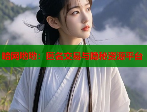 暗网哟哟：匿名交易与隐秘资源平台