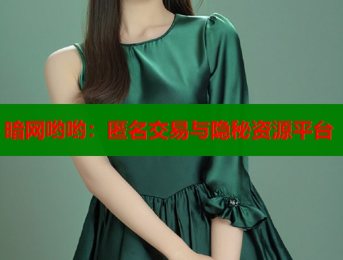 暗网哟哟：匿名交易与隐秘资源平台