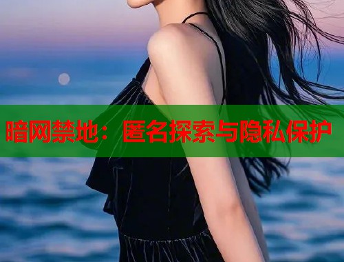 暗网禁地：匿名探索与隐私保护