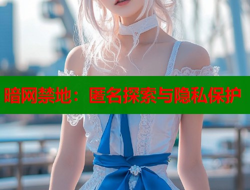 暗网禁地：匿名探索与隐私保护