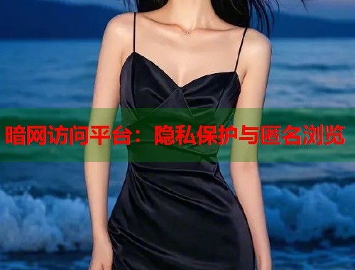 暗网访问平台：隐私保护与匿名浏览