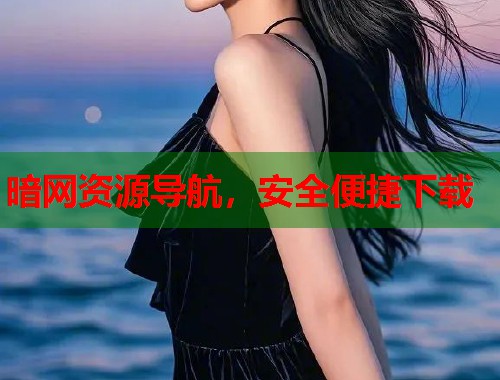 暗网资源导航，安全便捷下载