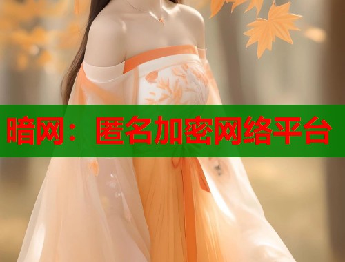 暗网：匿名加密网络平台