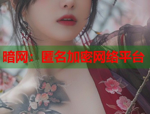 暗网：匿名加密网络平台