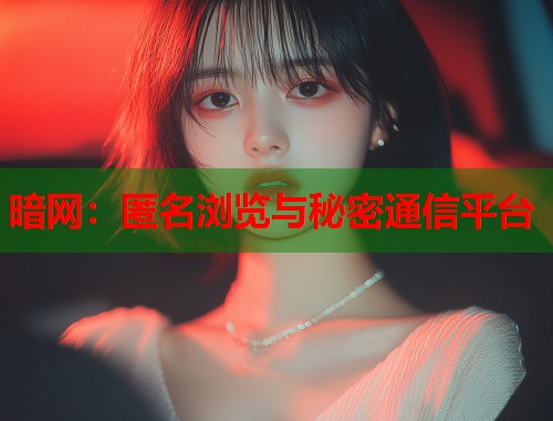 暗网：匿名浏览与秘密通信平台