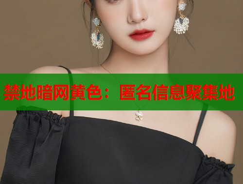 禁地暗网黄色：匿名信息聚集地