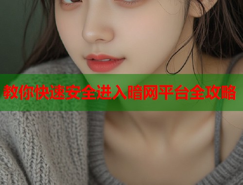 教你快速安全进入暗网平台全攻略
