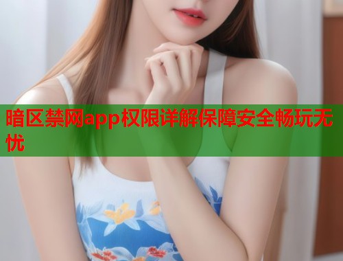 暗区禁网app权限详解保障安全畅玩无忧