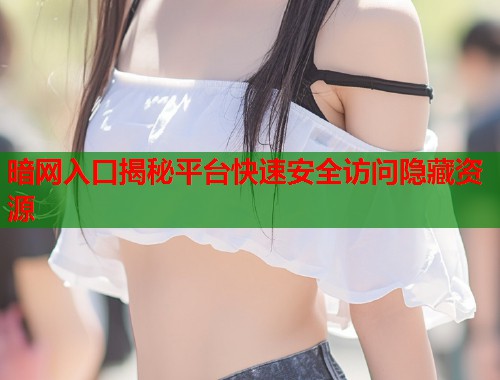 暗网入口揭秘平台快速安全访问隐藏资源