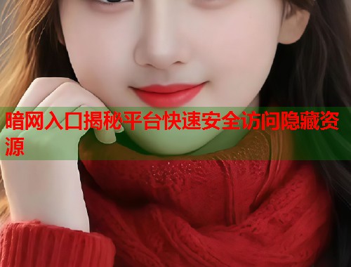 暗网入口揭秘平台快速安全访问隐藏资源