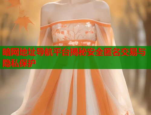 暗网地址导航平台揭秘安全匿名交易与隐私保护