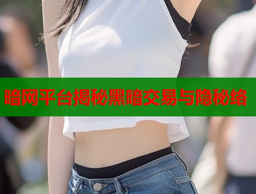 暗网平台揭秘黑暗交易与隐秘络
