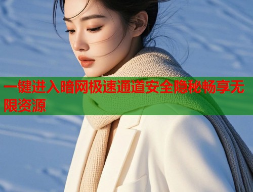 一键进入暗网极速通道安全隐秘畅享无限资源