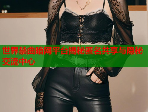 世界禁曲暗网平台揭秘匿名共享与隐秘交流中心
