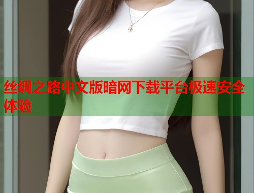 丝绸之路中文版暗网下载平台极速安全体验