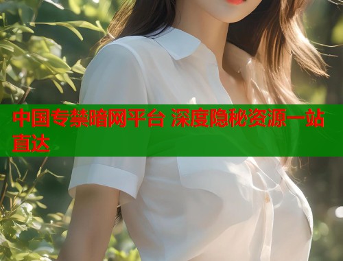 中国专禁暗网平台 深度隐秘资源一站直达