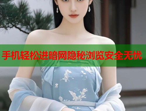 手机轻松进暗网隐秘浏览安全无忧
