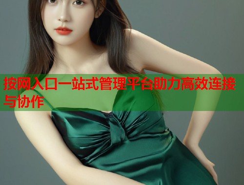 按网入口一站式管理平台助力高效连接与协作