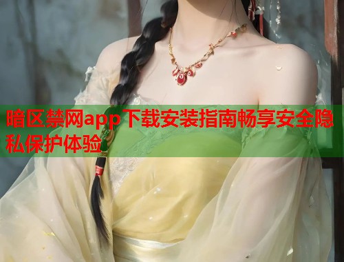 暗区禁网app下载安装指南畅享安全隐私保护体验