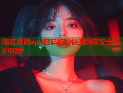 暗区禁网app密码揭秘快速解锁安全防护利器