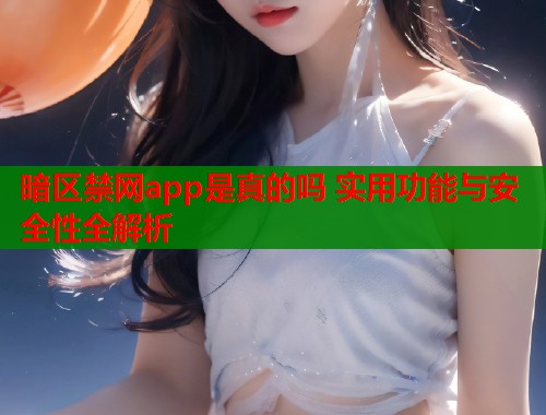 暗区禁网app是真的吗 实用功能与安全性全解析