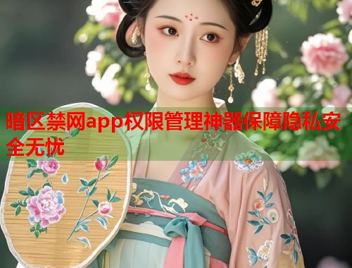 暗区禁网app权限管理神器保障隐私安全无忧