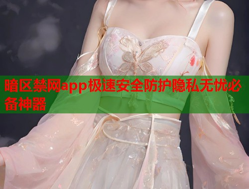 暗区禁网app极速安全防护隐私无忧必备神器