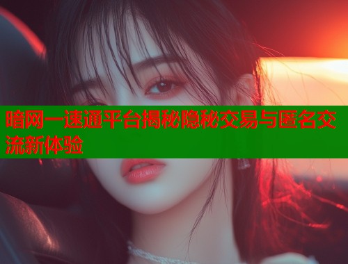暗网一速通平台揭秘隐秘交易与匿名交流新体验