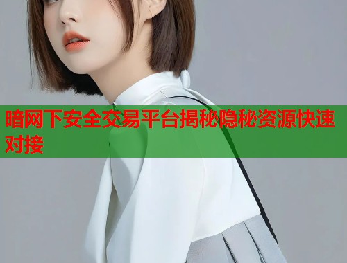 暗网下安全交易平台揭秘隐秘资源快速对接