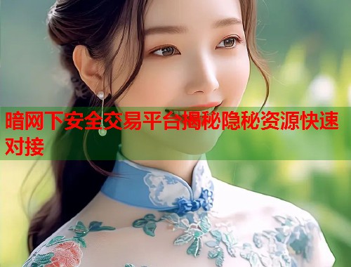 暗网下安全交易平台揭秘隐秘资源快速对接