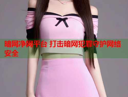 暗网净网平台 打击暗网犯罪守护网络安全