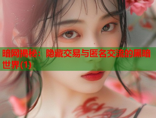暗网揭秘：隐藏交易与匿名交流的黑暗世界(1)