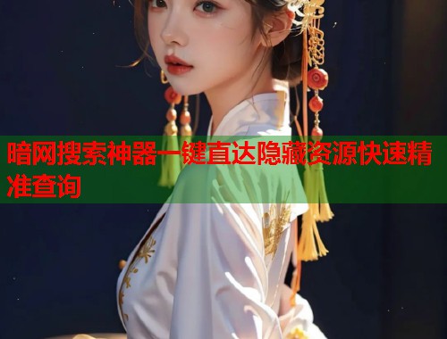 暗网搜索神器一键直达隐藏资源快速精准查询