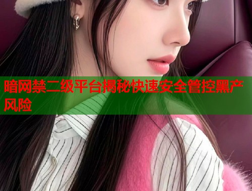 暗网禁二级平台揭秘快速安全管控黑产风险